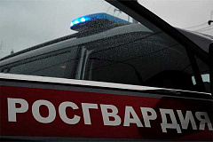 Безопасность футбольного матча в Москве обеспечена при содействии Росгвардии