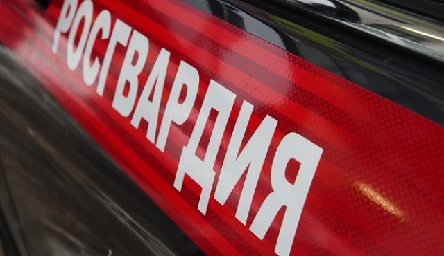 Столичные росгвардейцы задержали подозреваемого в хищении товаров из гипермаркета