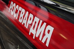 В Москве состоялся чемпионат по плаванию среди сотрудников Управления вневедомственной охраны столичного главка Росгвардии